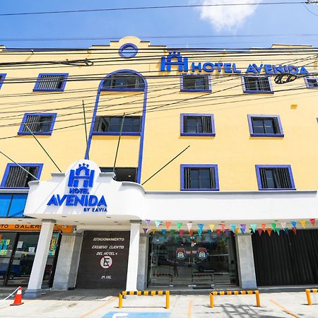 Hotel Avenida Cancún Exteriér fotografie