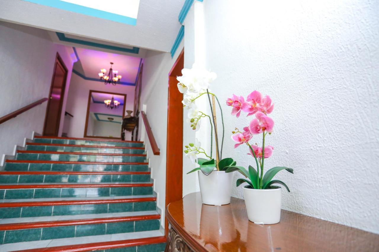 Hotel Avenida Cancún Exteriér fotografie